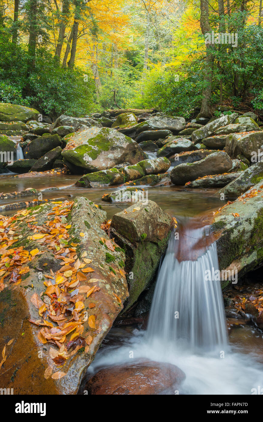 Le volet routier vu de Chimney Tops Trail, Great Smoky Mountains NP, New York USA Banque D'Images