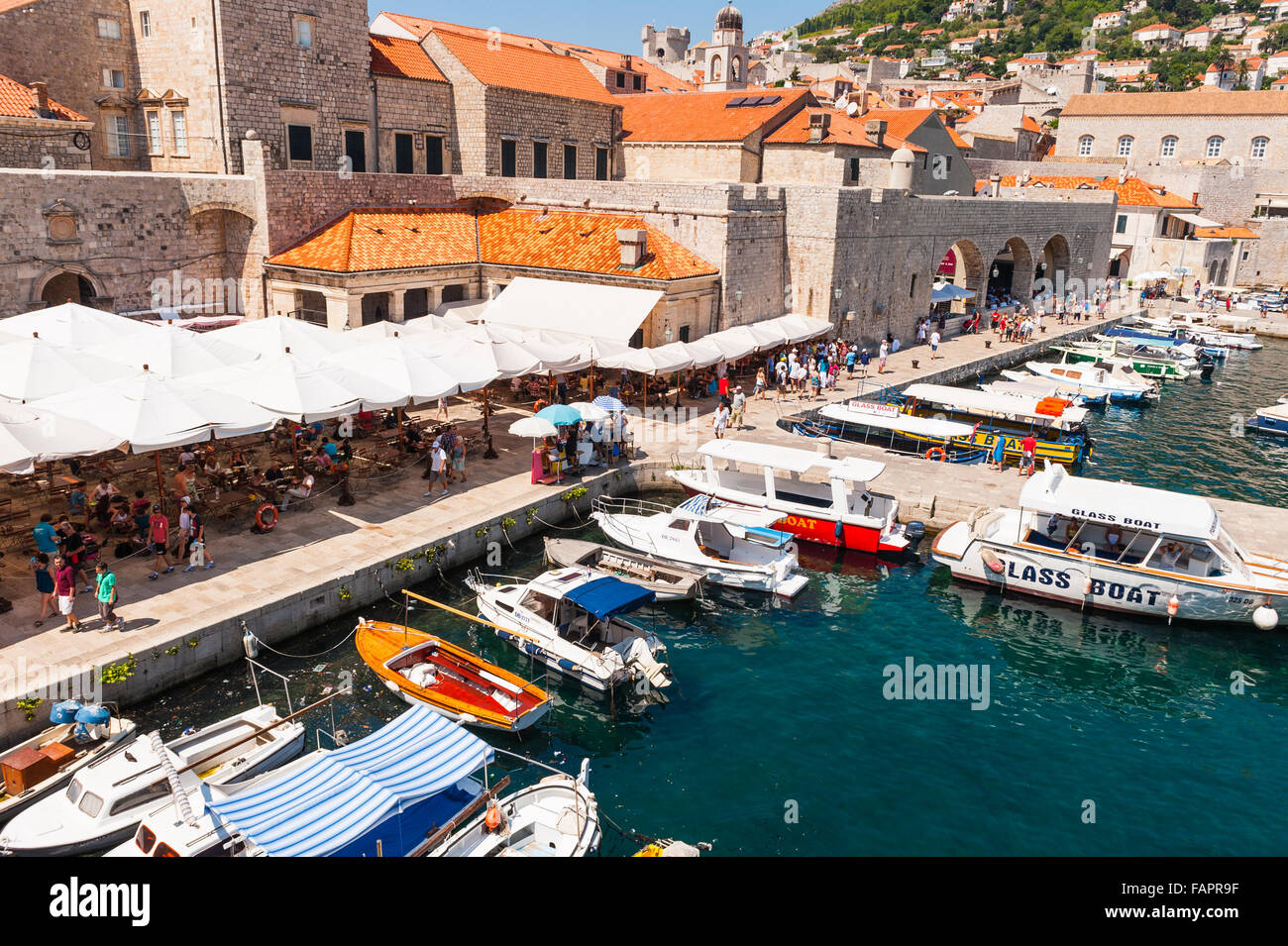 Vue de la vieille ville fortifiée de Dubrovnik, sur le port de Dubrovnik, Dalmatie, Croatie, Europe. Banque D'Images