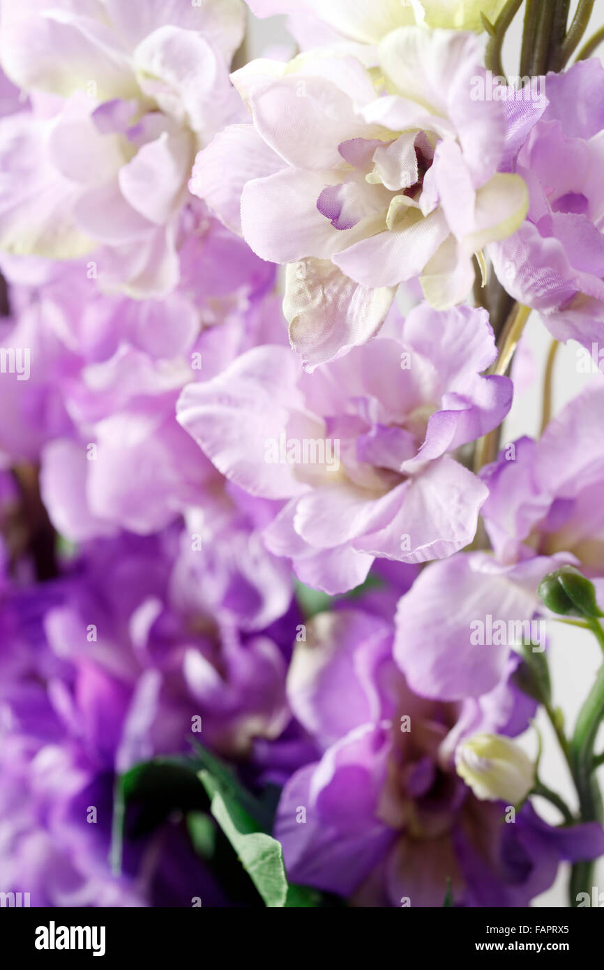 Historique pleine de fleurs violettes. Banque D'Images