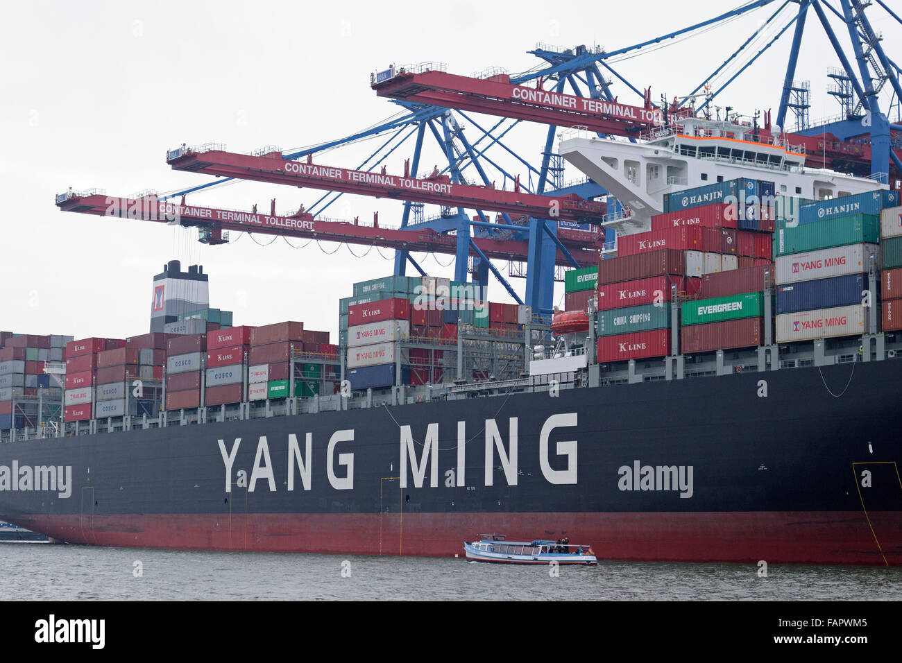 YM "témoin", Yang Ming, terminal conteneurs 'Tollerort',port, Hambourg, Allemagne Banque D'Images