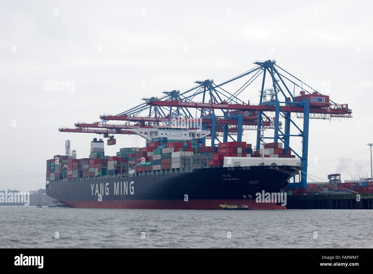 YM "témoin", Yang Ming, terminal conteneurs 'Tollerort',port, Hambourg, Allemagne Banque D'Images
