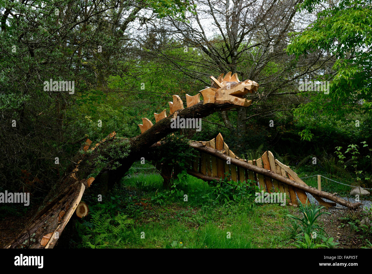 Dragon volant en bois en bois jardin vol art sculpture fantasy aire de Birr Castle Floral RM Banque D'Images