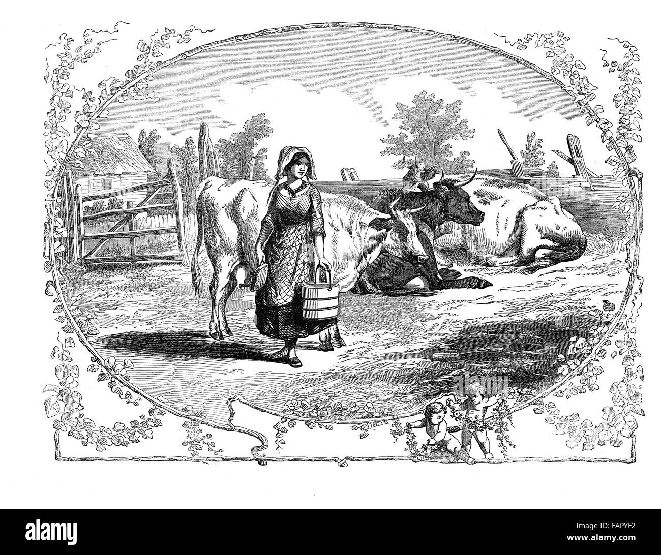 XIX siècle gravure, vue bucolique de la vie à la ferme, les vaches portant sur terrain et fille avec godet de lait. Banque D'Images