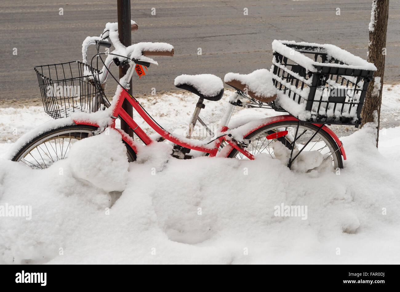 Bike couverte de neige fraîche à Montréal pendant une tempête de neige en 2016 Banque D'Images