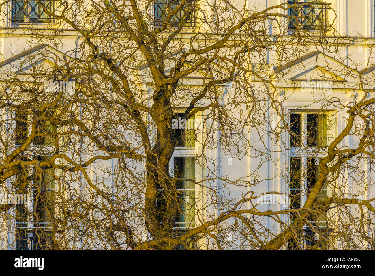 Appartements le long de l'île l'Île Saint-Louis dans la Seine à Paris Banque D'Images