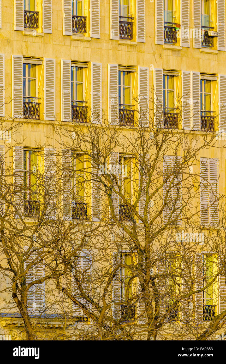 Appartements le long de l'île l'Île Saint-Louis dans la Seine à Paris Banque D'Images