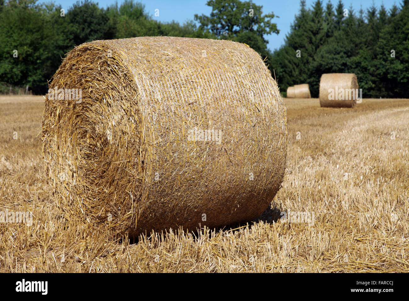 C'est une photo d'un ballot de paille rond dans un champ de la ferme France Banque D'Images