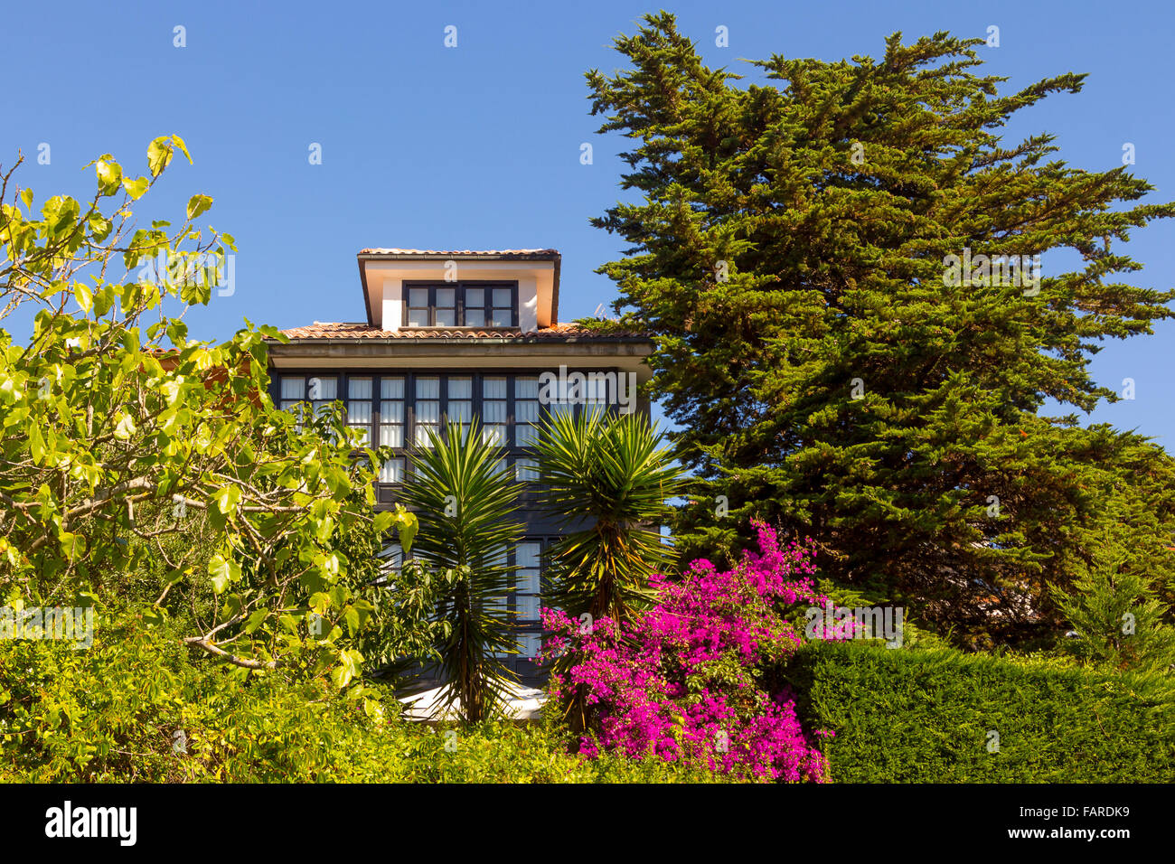 Parmi les fleurs et plantes Banque D'Images