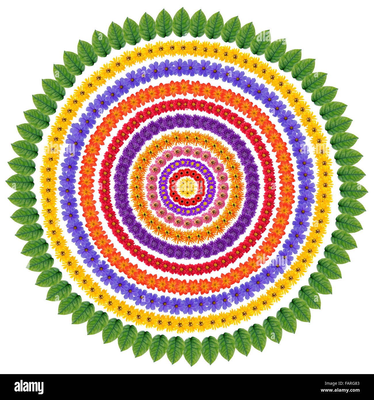 Ensemble d'abstract floral simples cercles concentriques comme cadre pour vos collages d'été. Isolated on white Banque D'Images