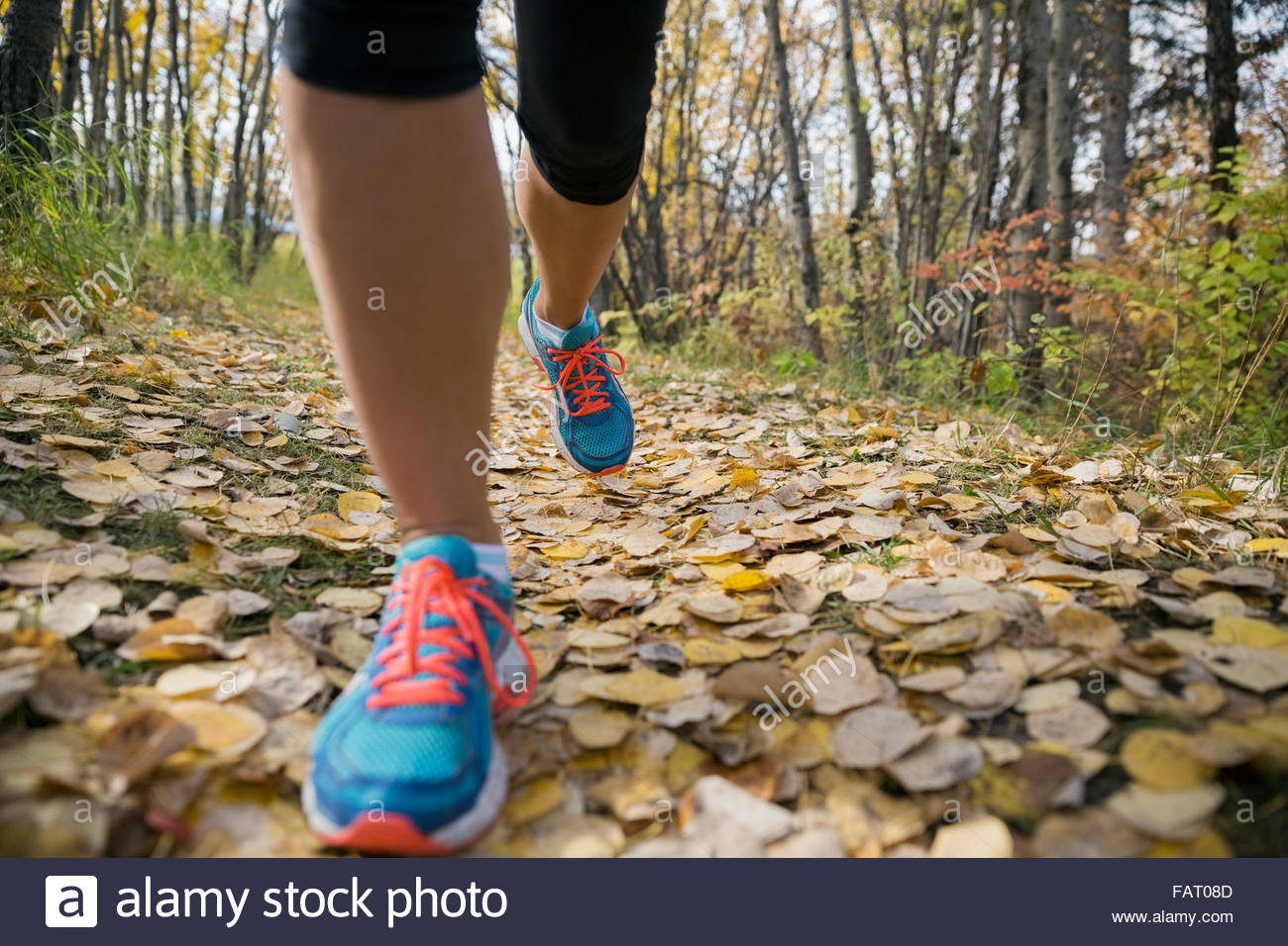 Close up woman's feet jogging le chemin d'automne Banque D'Images