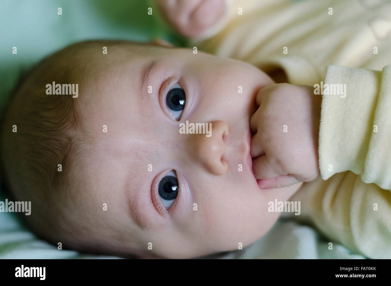 Un mignon petit bébé est à la recherche dans l'appareil photo Banque D'Images