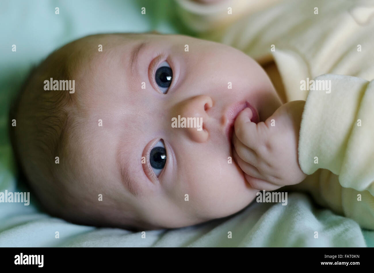 Un mignon petit bébé est à la recherche dans l'appareil photo Banque D'Images