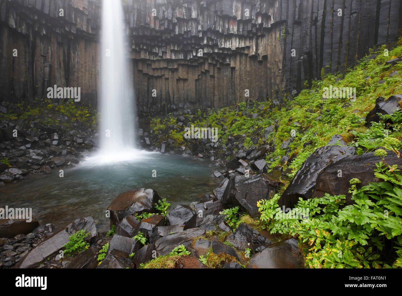 Cascade de Svartifoss et roches basaltiques en zone sud-est de l'Islande Banque D'Images