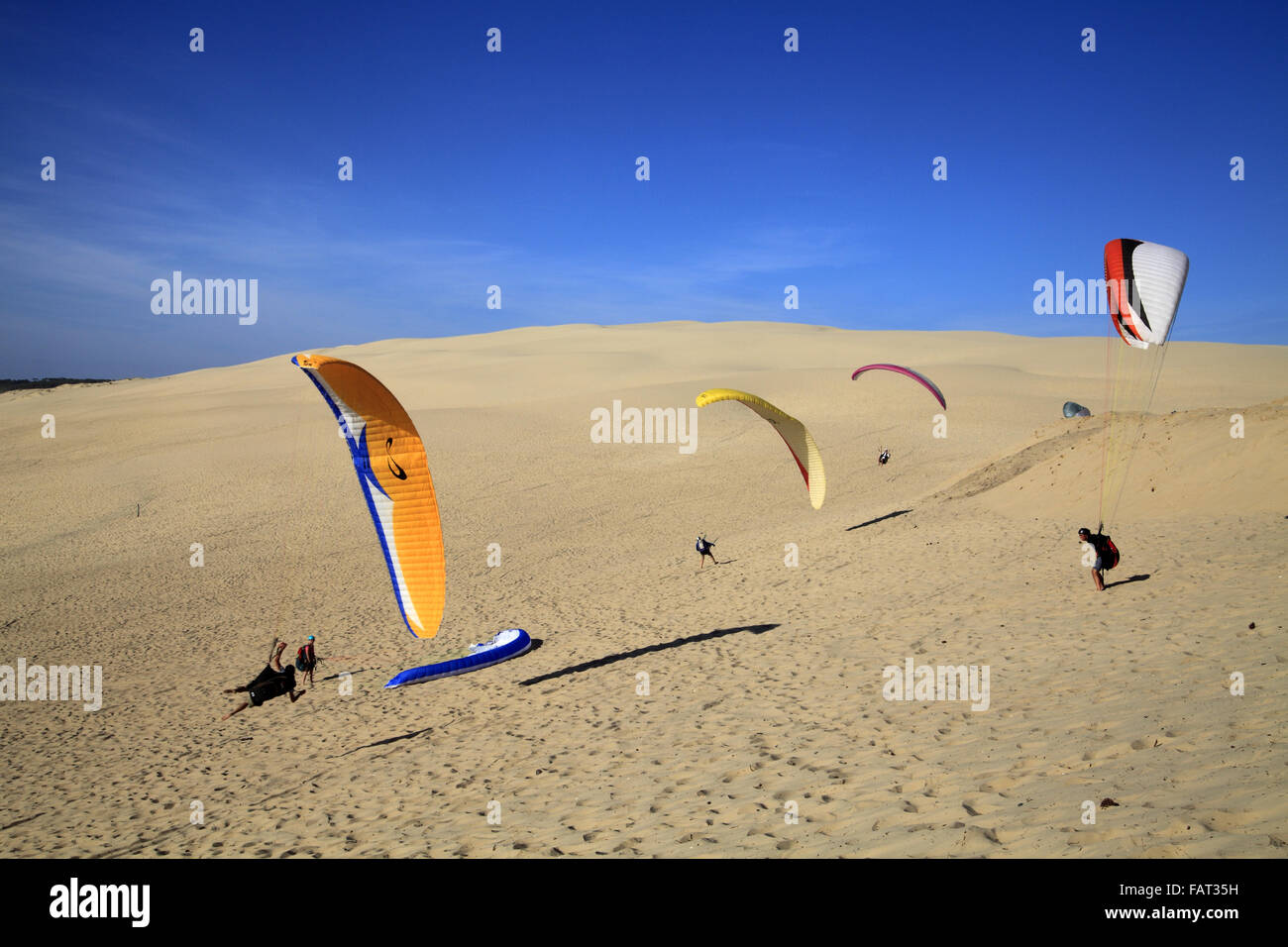 Parapente sur la Dune du Pilat, le bassin d'Arcachon, Aquitaine, France Banque D'Images