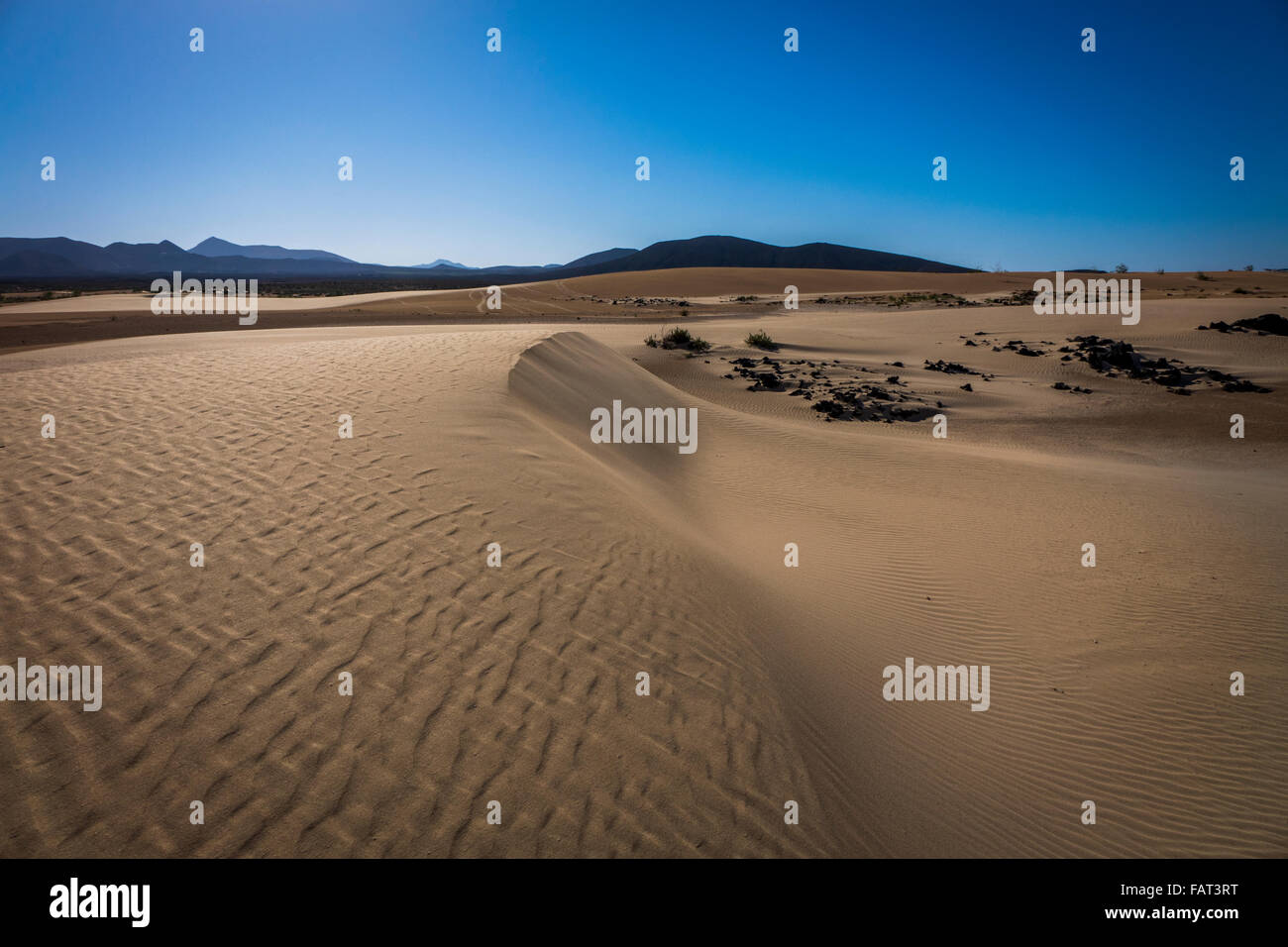 Dunes de sable sur le parc naturel de Corralejo le secteur-, espagne. Banque D'Images