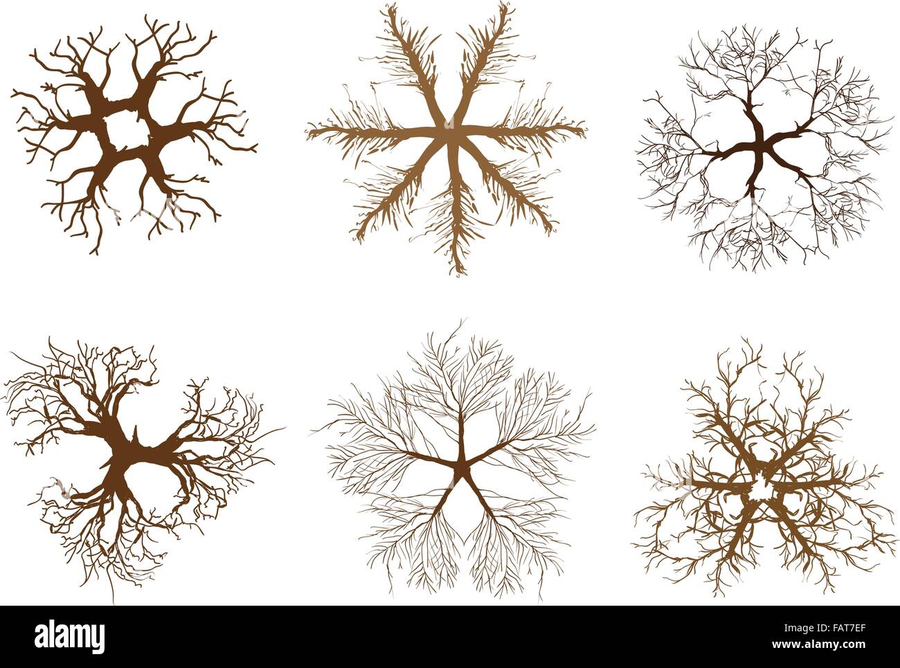 Une illustration couleur marron Collection de l'aménagement paysager ou des symboles de la cime des arbres et plantes pour isométrique décoration de jardin Illustration de Vecteur