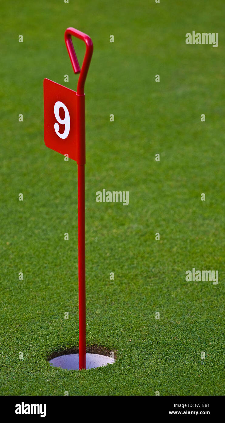 Golf Flag sur Putting Green Banque D'Images