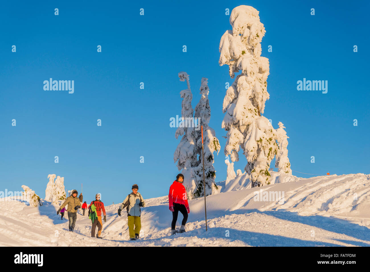 Les randonneurs d'hiver, le Parc provincial Mount Seymour, North Vancouver, Colombie-Britannique, Canada Banque D'Images