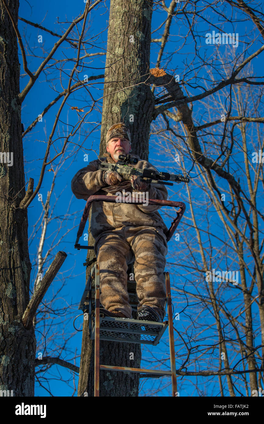 Chasseur à l'arbalète dans un peuplement d'arbres Banque D'Images