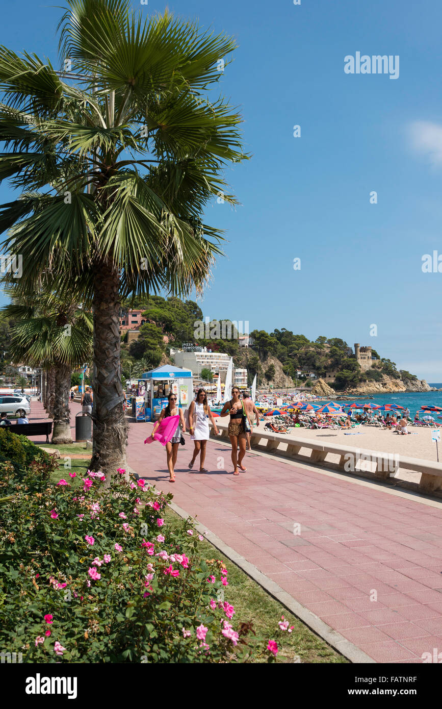 Plage et de la promenade vue, Platja de Lloret, Lloret de Mar, Costa Brava, province de Gérone, Catalogne, Espagne Banque D'Images