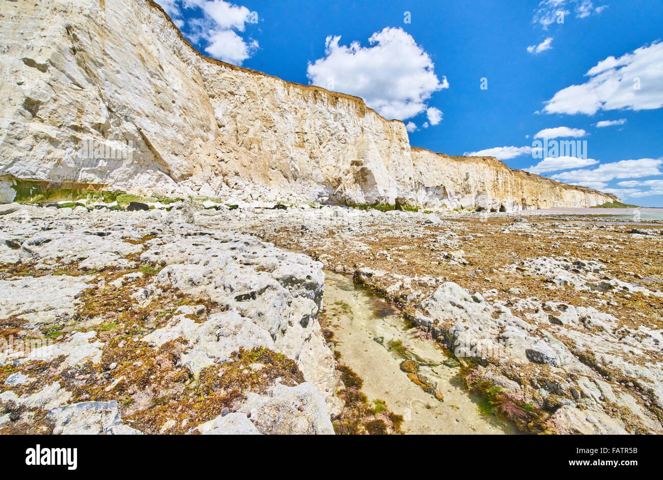 La craie, ciffs beach et la côte du parc national des South Downs Banque D'Images La craie, ciffs beach et la côte du parc national des South Downs Banque D'Images