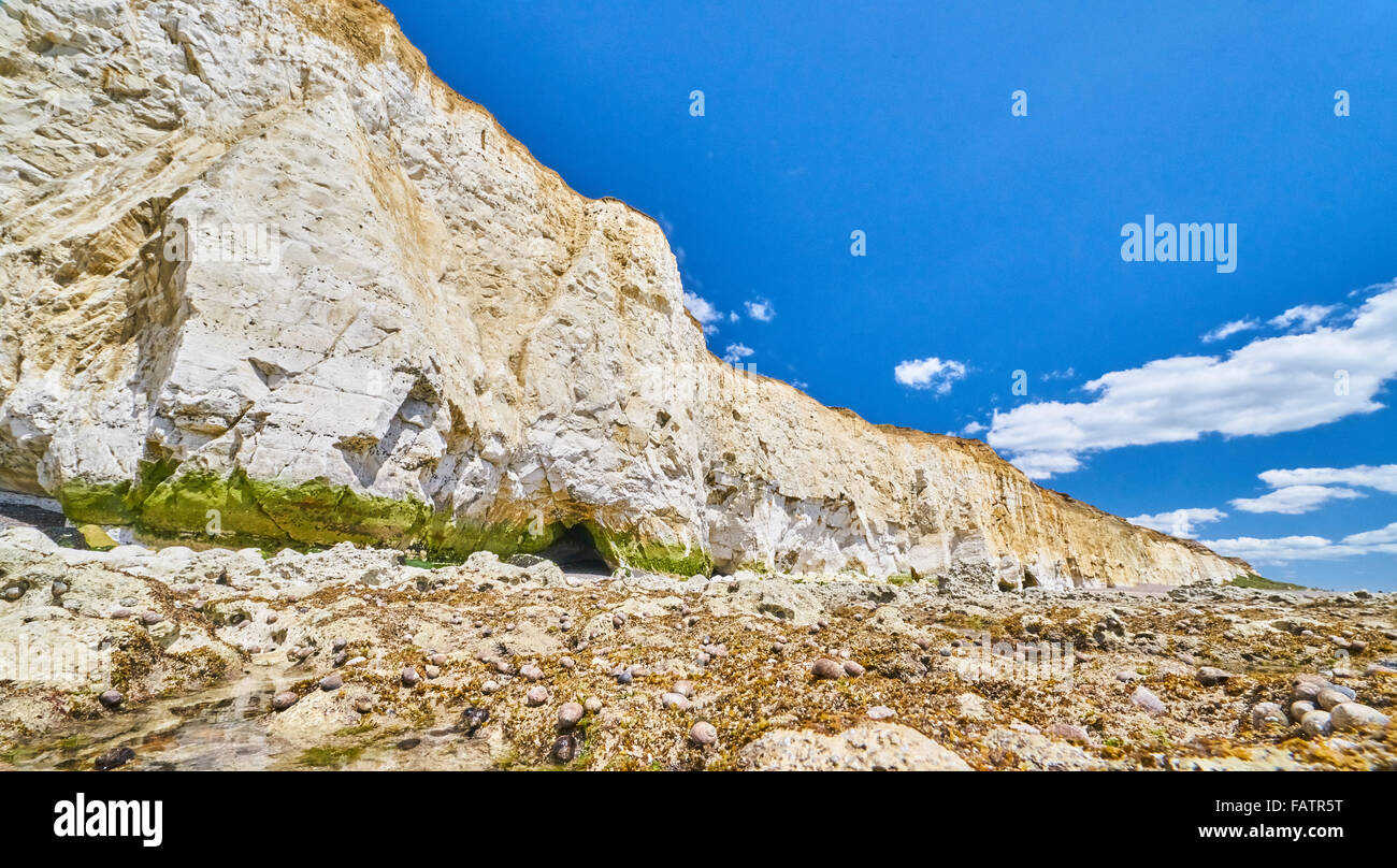 La craie, ciffs beach et la côte du parc national des South Downs Banque D'Images La craie, ciffs beach et la côte du parc national des South Downs Banque D'Images