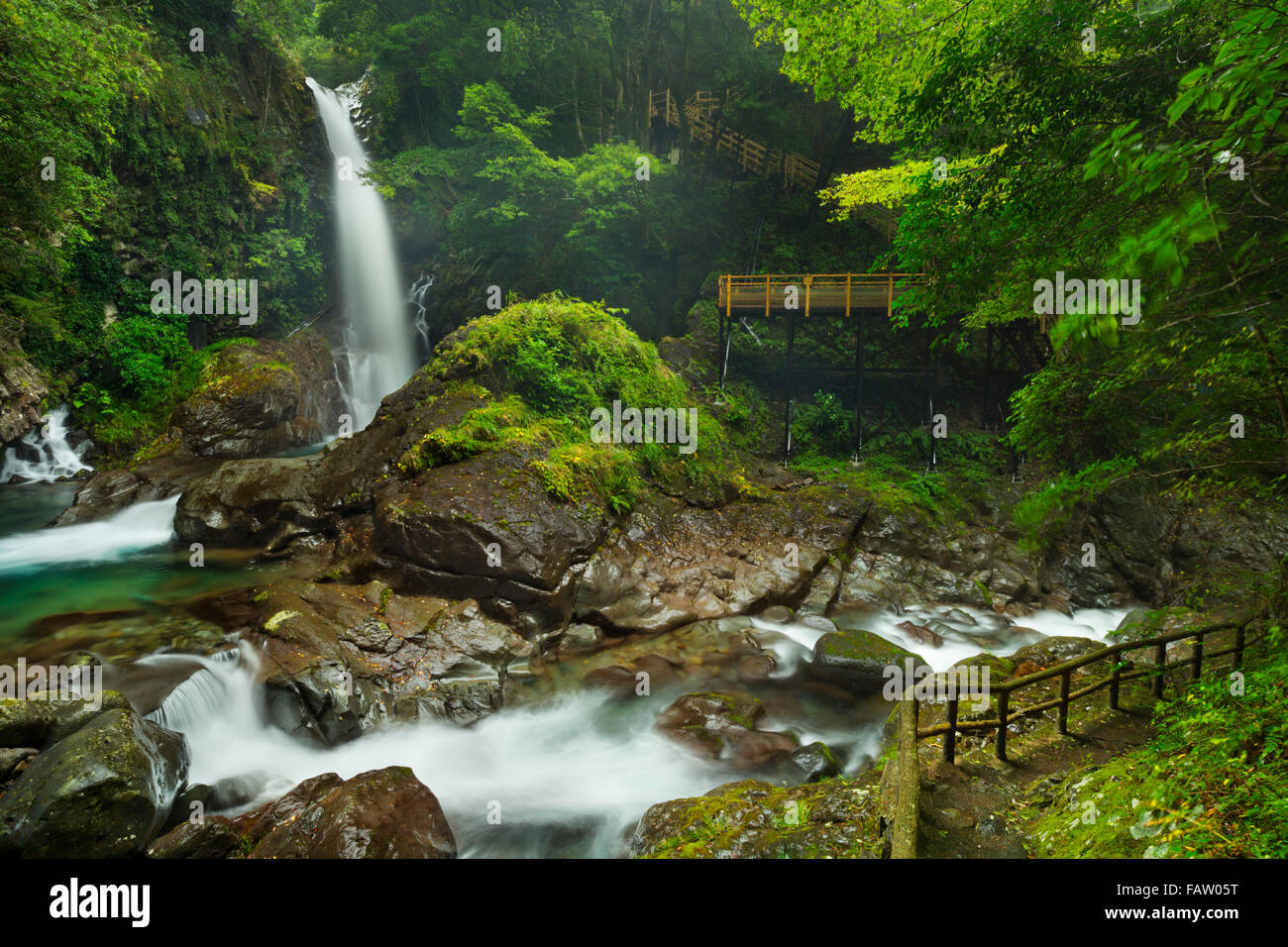 Le Kamadaru 釜滝 (cascade) le long du sentier Cascade Kawazu Nanadaru sur la péninsule d'Izu, du Japon. Banque D'Images