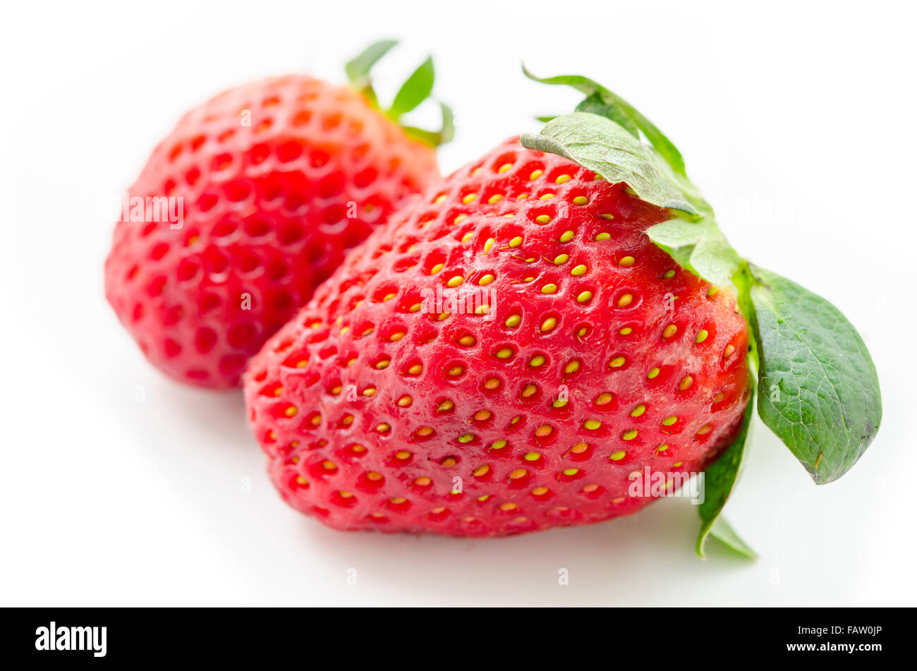 Fraises fraîches sur fond blanc. Banque D'Images