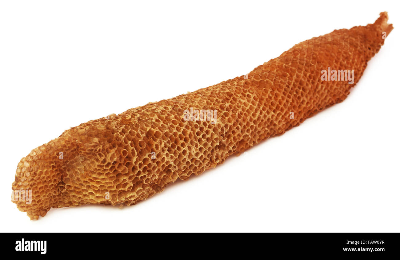 Honeycomb over white background Banque D'Images
