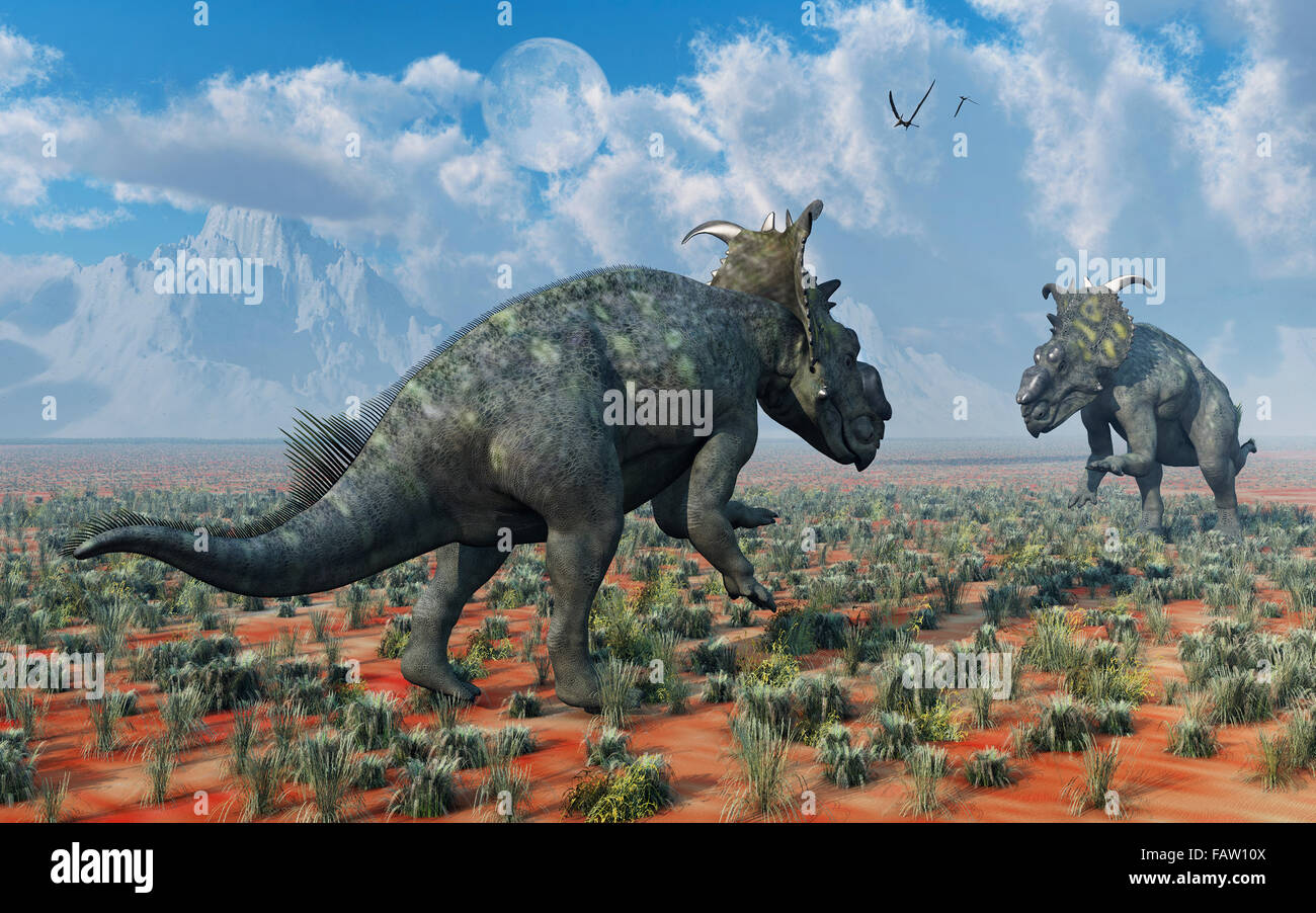 Une paire de Pachyrhinosaurus dinosaures , dans un conflit territorial. Banque D'Images