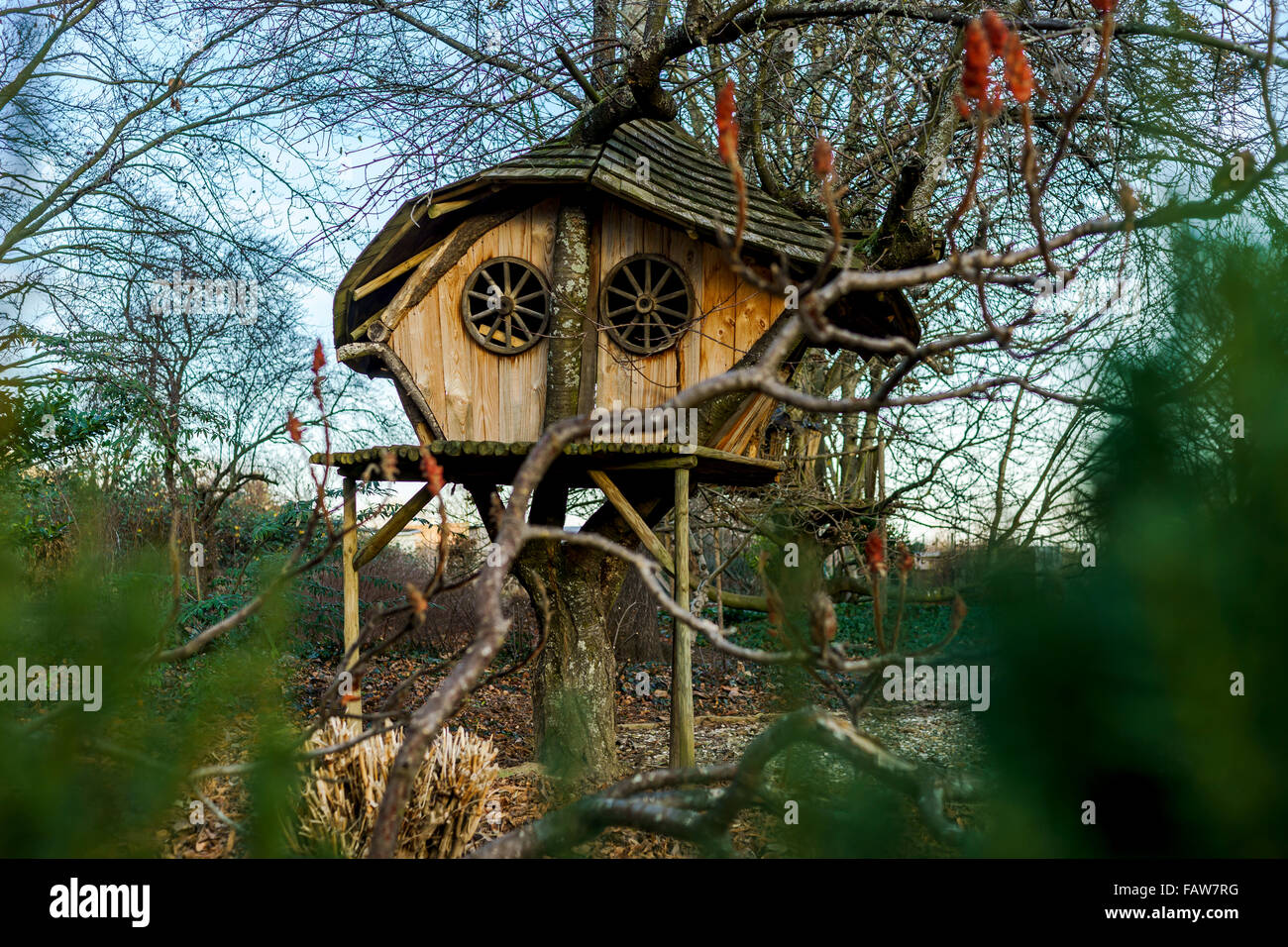 Maison de hobbit fait main pour les enfants sur l'arbre, France Banque D'Images