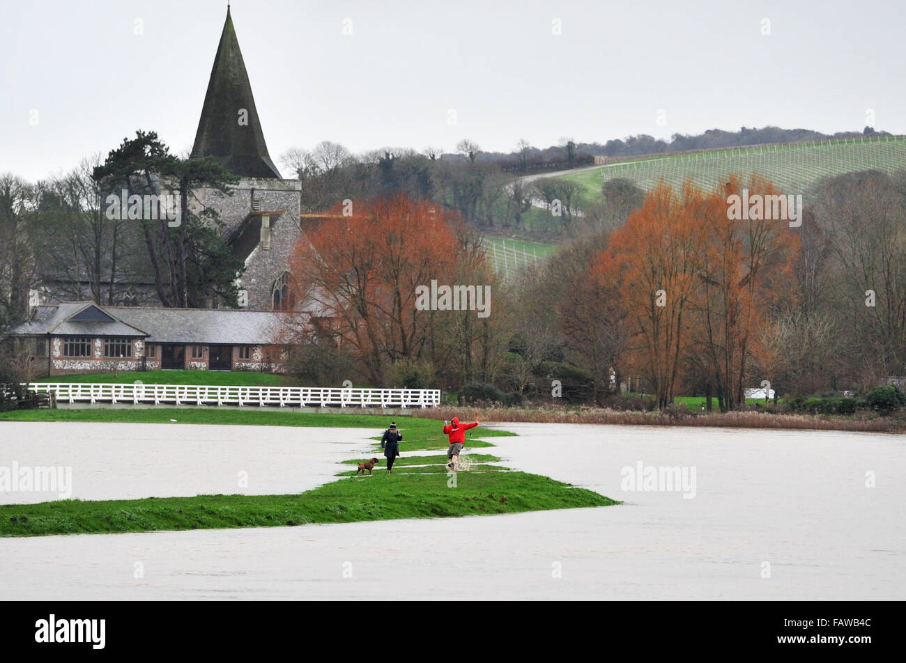 Alfriston, Sussex, UK. 5 janvier, 2016. Les promeneurs de chiens sur une banque étroite entre l'inondation à Alfriston East Sussex où la rivière Cuckmere a éclaté ses rives . Les prévisions météo sont de fortes pluies à effectuer lors d'une baisse au cours des 12 heures dans la région causer plus de problèmes Crédit : Simon Dack/Alamy Live News Banque D'Images