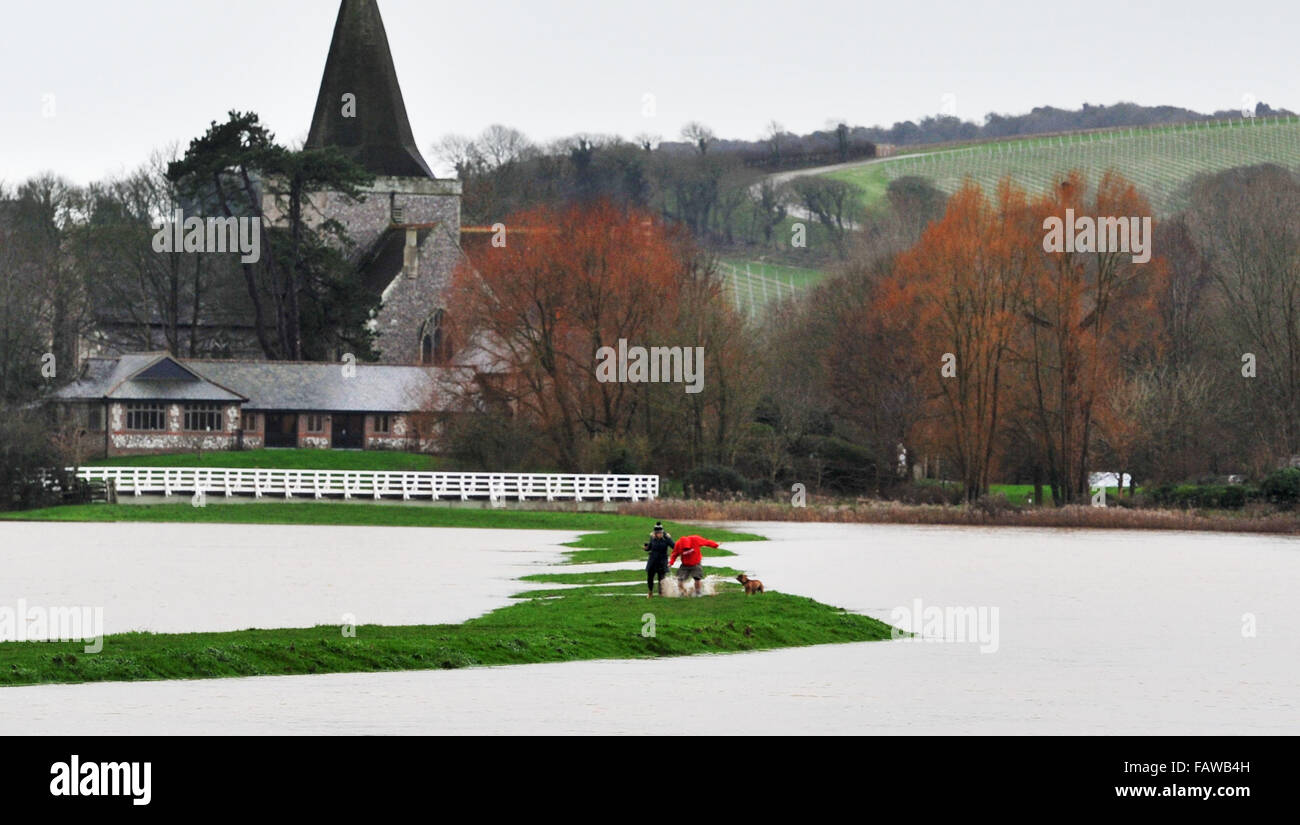 Alfriston, Sussex, UK. 5 janvier, 2016. Les promeneurs de chiens sur une banque étroite entre l'inondation à Alfriston East Sussex où la rivière Cuckmere a éclaté ses rives . Les prévisions météo sont de fortes pluies à effectuer lors d'une baisse au cours des 12 heures dans la région causer plus de problèmes Crédit : Simon Dack/Alamy Live News Banque D'Images