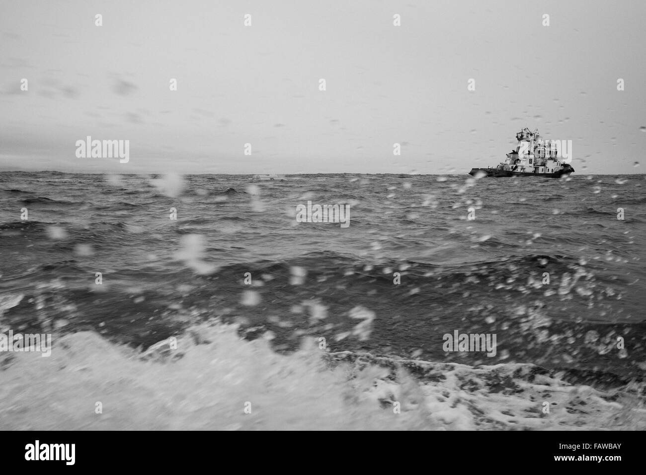 Tugboat à la mer Banque D'Images