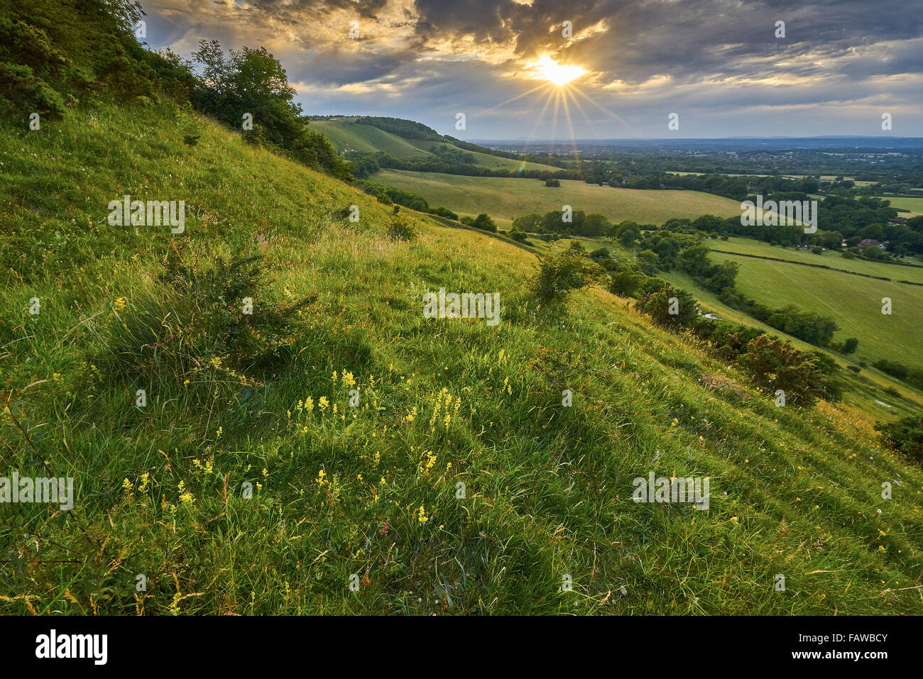 Paysage du Parc National des South Downs avec chalk grassland Banque D'Images Paysage du Parc National des South Downs avec chalk grassland Banque D'Images