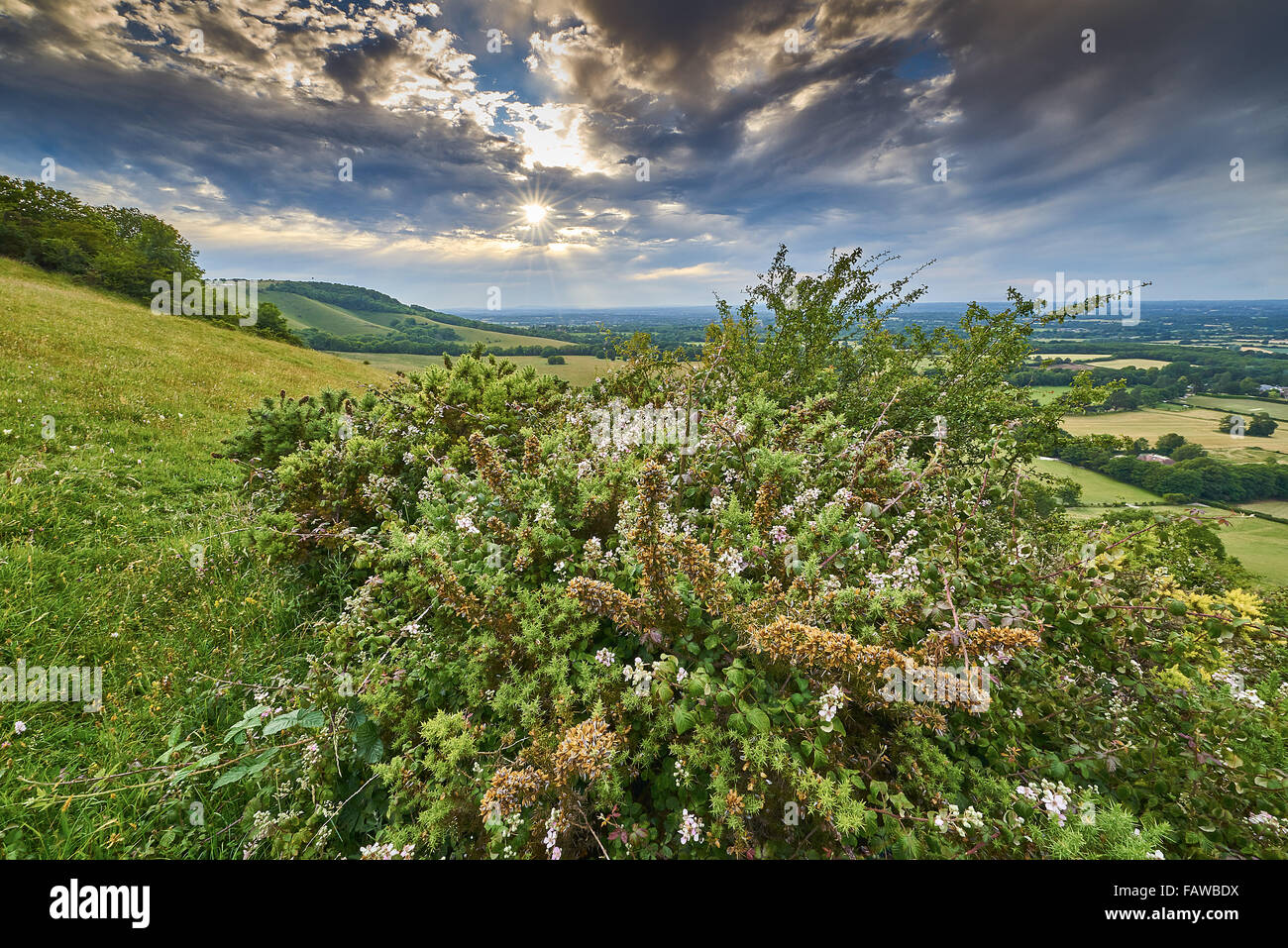 Paysage du Parc National des South Downs avec chalk grassland Banque D'Images Paysage du Parc National des South Downs avec chalk grassland Banque D'Images