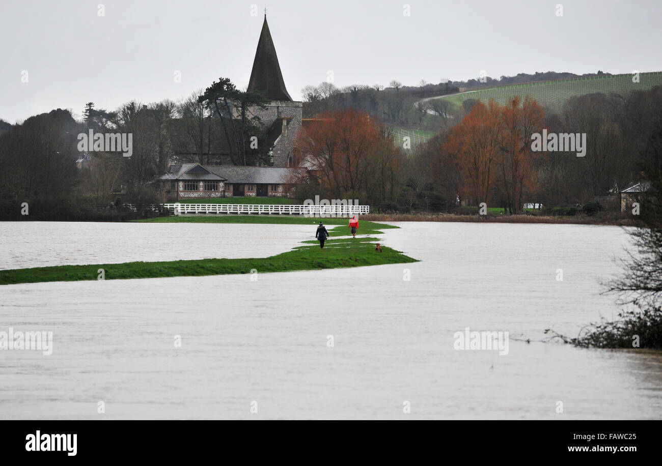 Alfriston, Sussex, UK. 5 janvier, 2016. Les promeneurs de chiens sur une banque étroite entre l'inondation à Alfriston East Sussex où la rivière Cuckmere a éclaté ses rives . Les prévisions météo sont de fortes pluies à effectuer lors d'une baisse au cours des 12 heures dans la région causer plus de problèmes Crédit : Simon Dack/Alamy Live News Banque D'Images