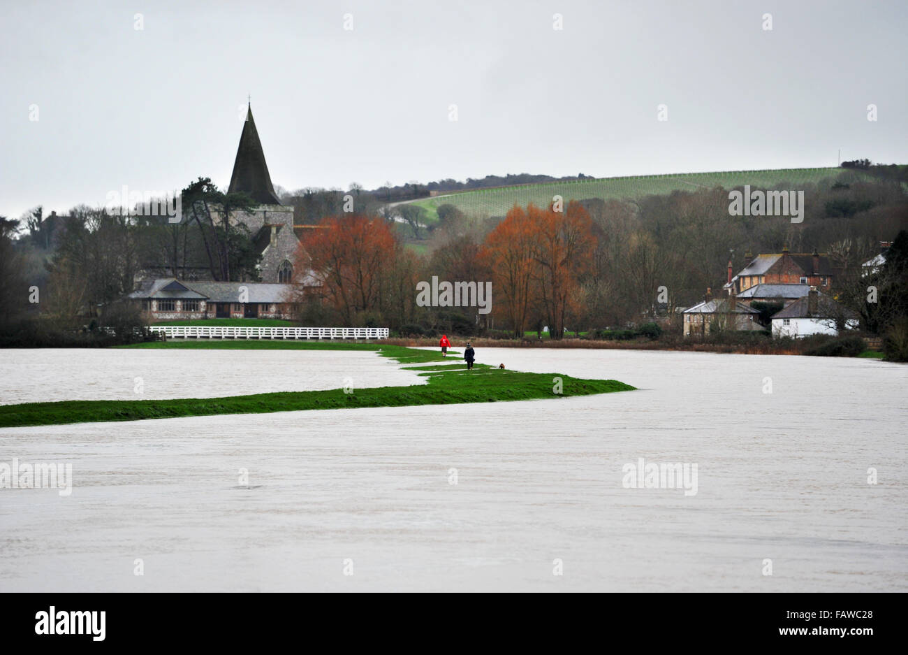 Alfriston, Sussex, UK. 5 janvier, 2016. Les promeneurs de chiens sur une banque étroite entre l'inondation à Alfriston East Sussex où la rivière Cuckmere a éclaté ses rives . Les prévisions météo sont de fortes pluies à effectuer lors d'une baisse au cours des 12 heures dans la région causer plus de problèmes Crédit : Simon Dack/Alamy Live News Banque D'Images