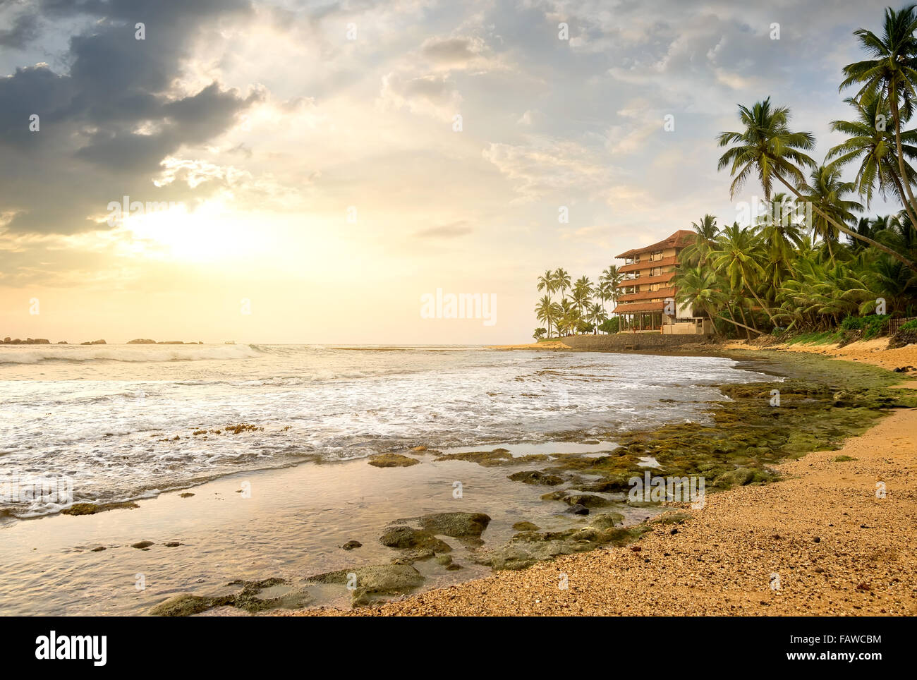 Chambre entre palmiers sur une plage de l'océan Banque D'Images