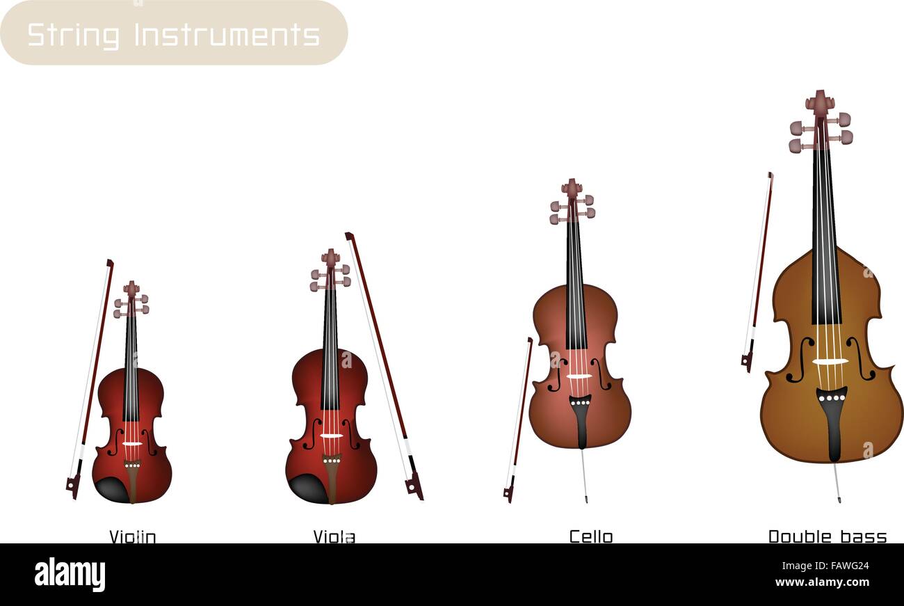 Une illustration magnifique collection de chaîne d'instruments de musique,  violon, alto, violoncelle et contrebasse avec des arcs isolé sur blanc  Image Vectorielle Stock - Alamy