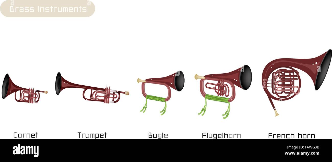 Bugle instrument Banque d'images vectorielles Alamy