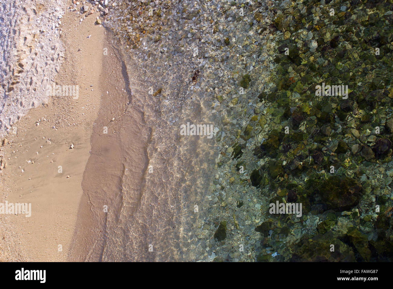 Fond de la mer Algues vertes couvrant près de Dubrovnik port. Banque D'Images