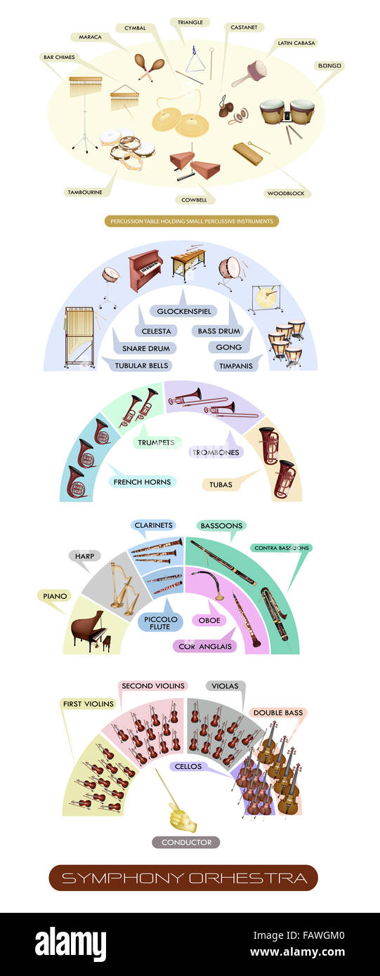 Illustration Collection De Differentes Sections De L Instrument De Musique Pour Orchestre Symphonique Du Schema De Disposition Photo Stock Alamy