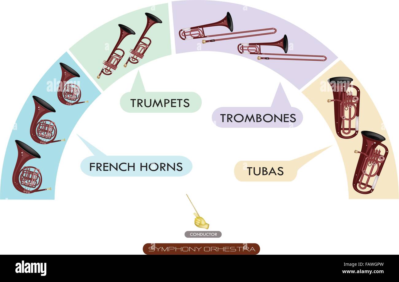 Illustration Collection De Differentes Sections D Instruments A Vent De L Orchestre Symphonique Philharmonique Coin Des Plans Le Francais H Image Vectorielle Stock Alamy