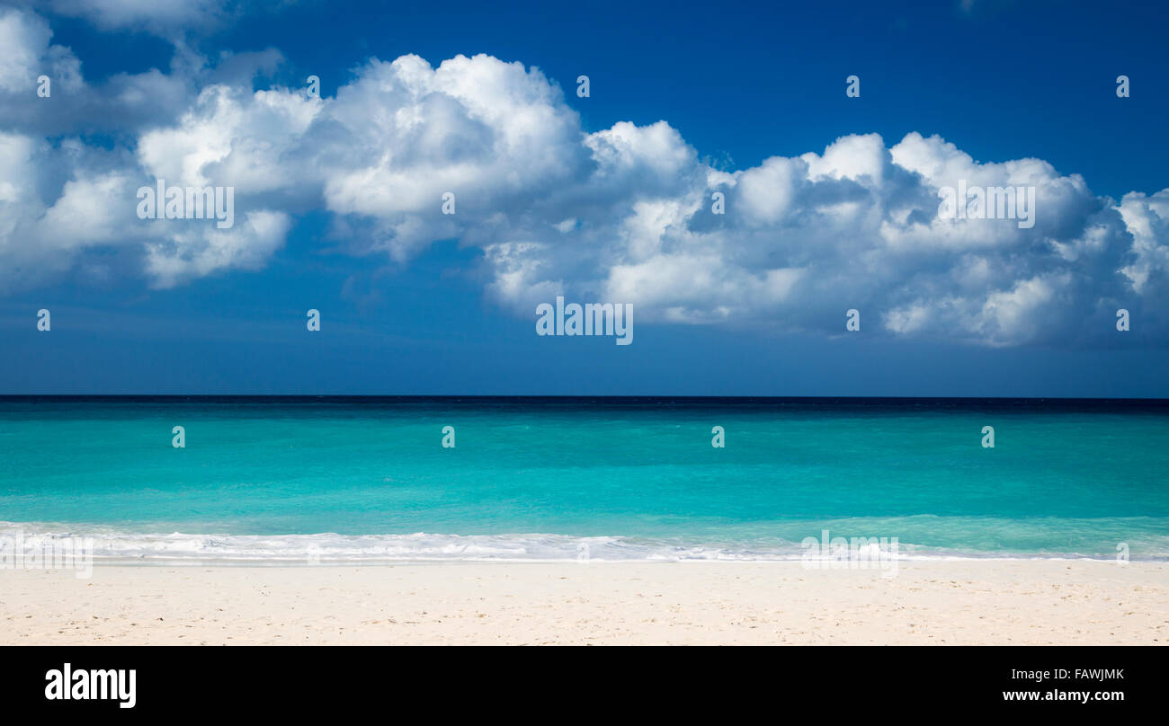 Plage de sable blanc d'Eagle Beach, près de Oranjestad, Aruba, Antilles Banque D'Images