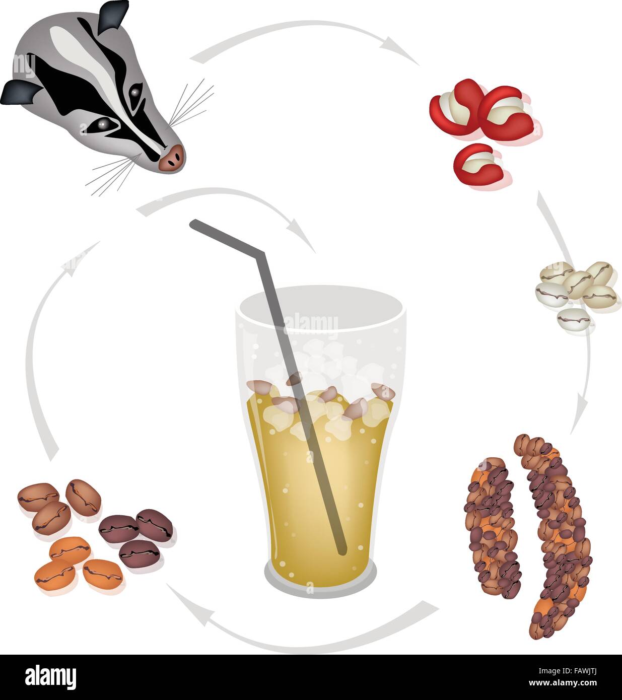 Un verre de thé glacé sucré café Kopi Luwak avec traitement des cerises de café de café de Civette dans un café glacé, le plus Expensiv Illustration de Vecteur