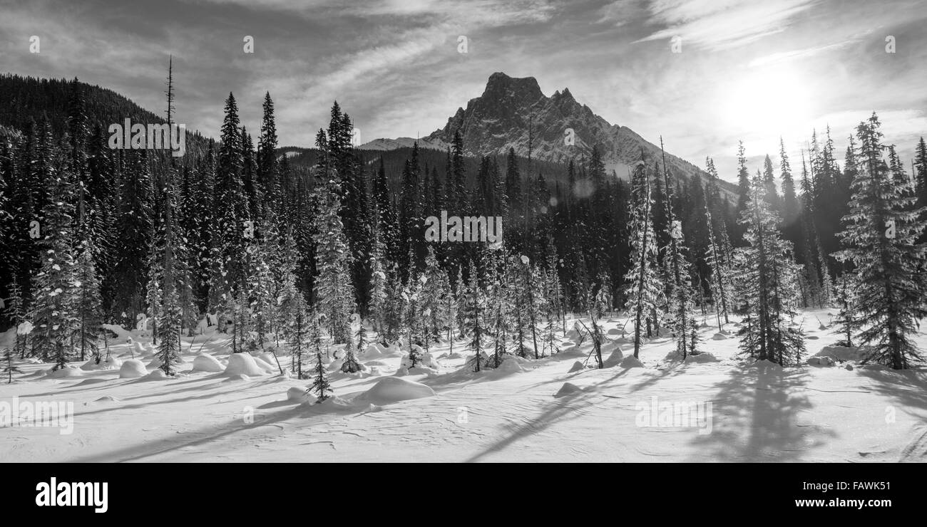 La neige sur les montagnes Rocheuses du Canada et un champ couvert de neige, Parc national Yoho ; Field, Colombie-Britannique, Canada Banque D'Images