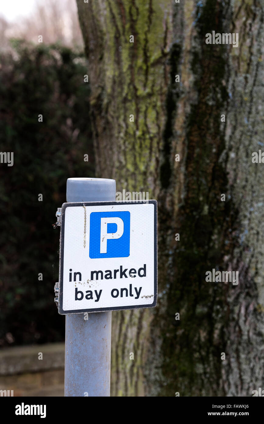 Parking voiture road sign 'P' dans la baie marquée seulement Banque D'Images
