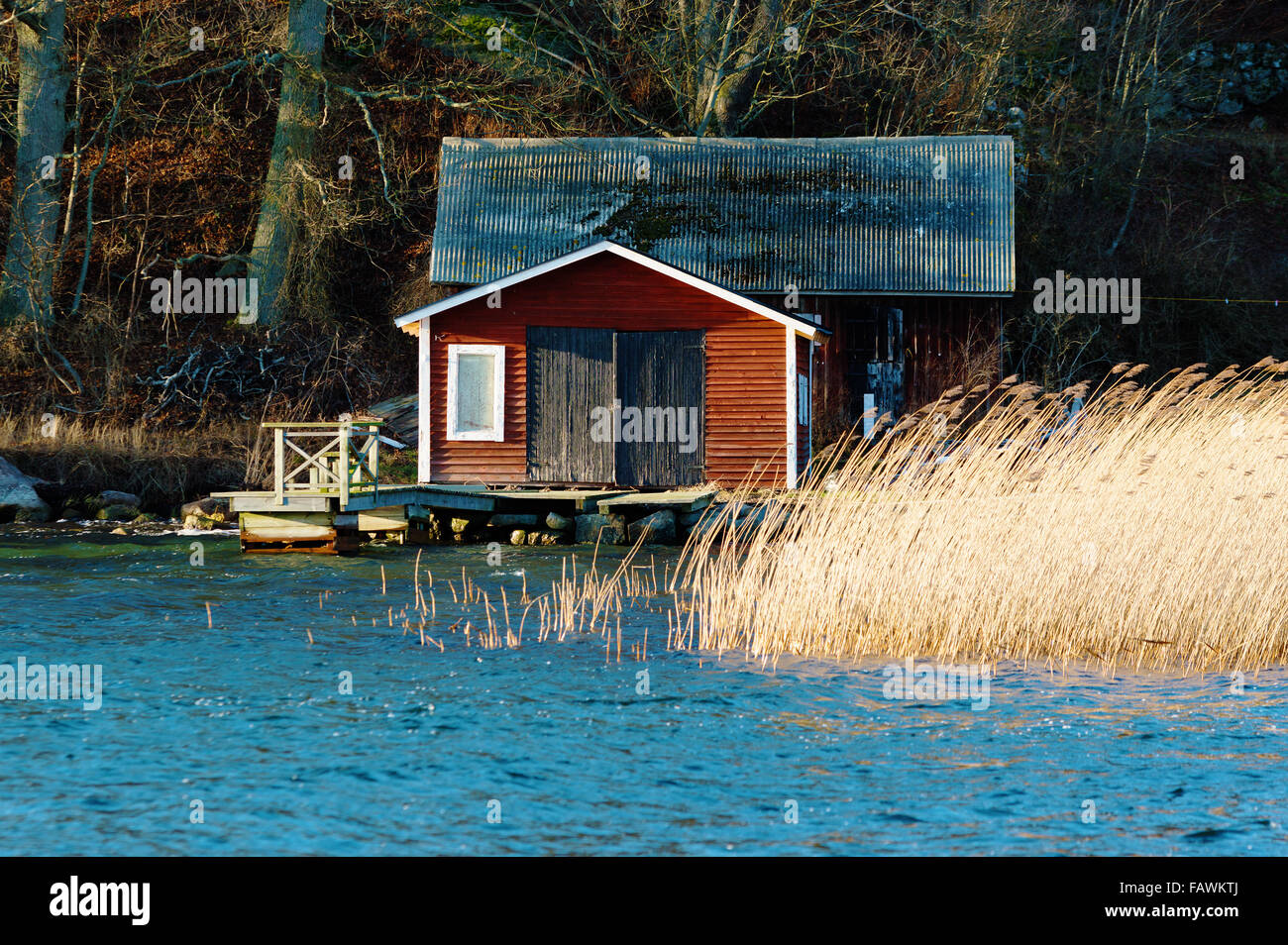Un vieux hangar à bateaux en bois rouge, avec une petite jetée à l'avant. Reed et de l'eau en premier plan et forêt en arrière-plan. Le vent est pliant Banque D'Images