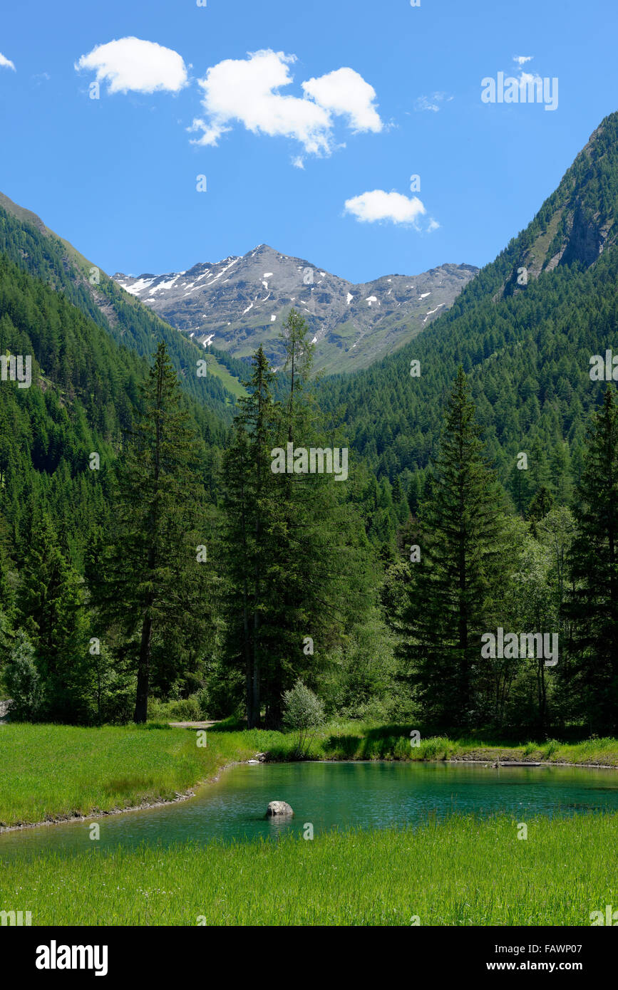 L'eau de source de Burgum, Wilde, Innerpfitschtal Kreuzspitze, Pfitschtal, Sterzing, Eisacktal, Tyrol du Sud, l'Alto Adige, Italie Banque D'Images